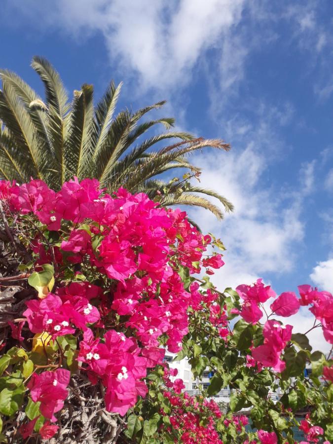 Taidia Tropical Apartment Maspalomas  Exterior photo